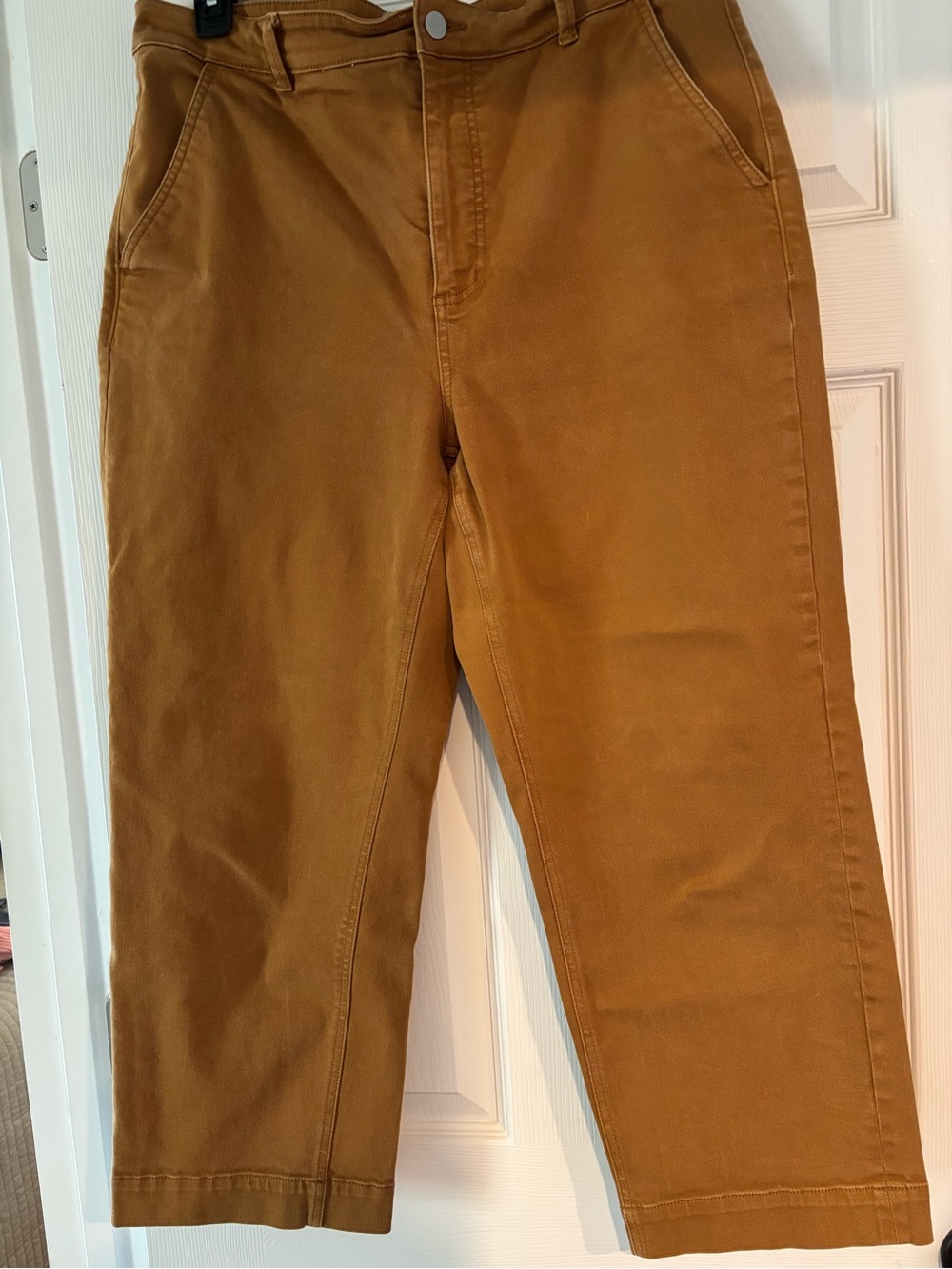 Everlane🍁🍂Cropped Straight Pants 25inseam